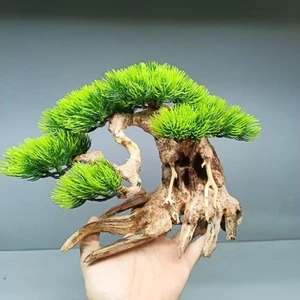 Cây gỗ lũa Bonsai tán Tùng cho hồ nhỏ [Hồ cá từ 20 đến 50cm]]