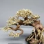 Cây gỗ lũa bonsai dáng đổ bám đá[Tán xương dùng để cấy rêu, đế bằng đá ong đen]