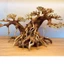 Cây gỗ Lũa bonsai 2 thân [Một cây lớn và một cây nhỏ dựa lưng vào nhau]
