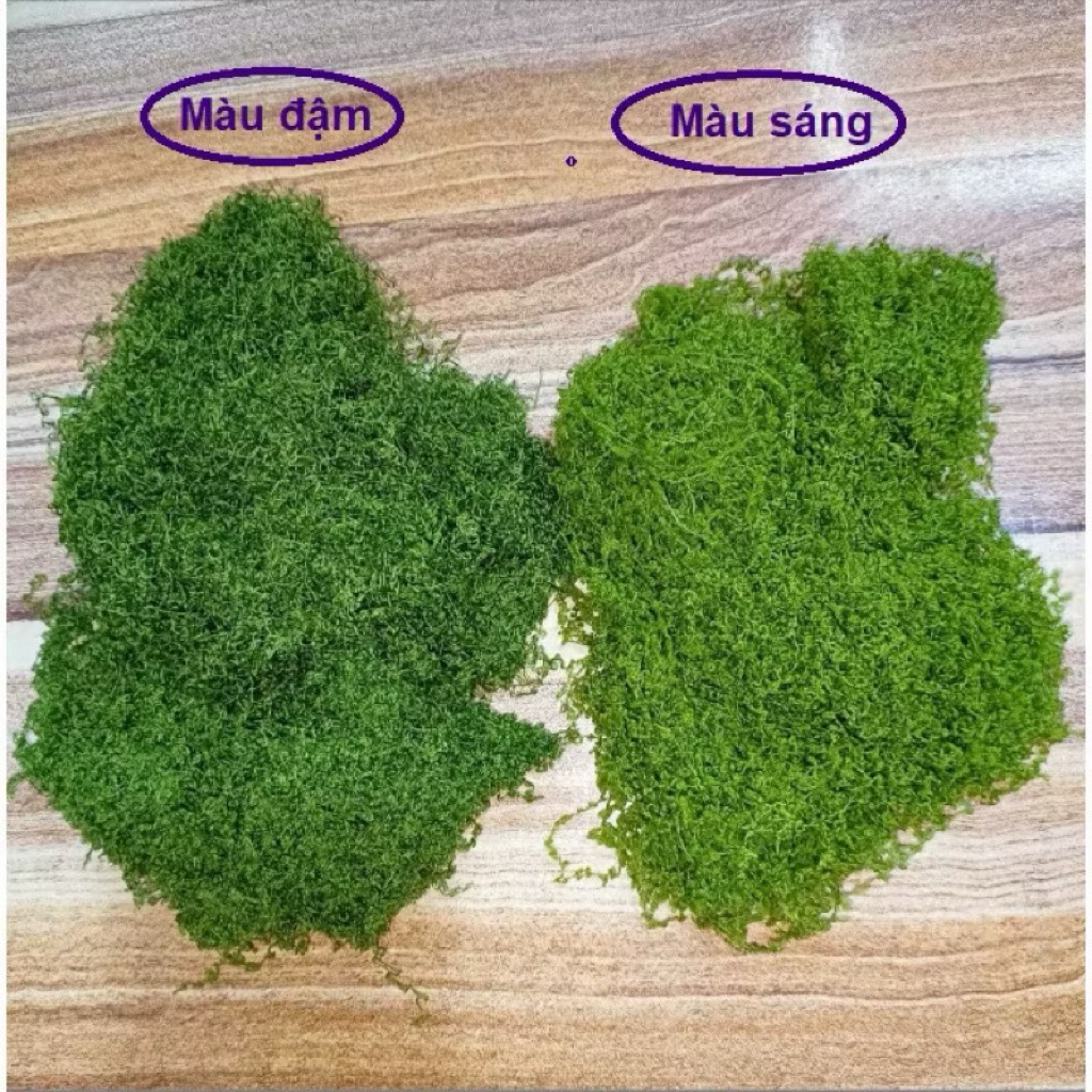 Cỏ rêu 1kg phủ gốc cây, rêu sợi nhân tạo trang trí chậu cây để bàn ...