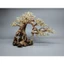 Cây gỗ Lũa bonsai 2 thân [Một cây lớn và một cây nhỏ dựa lưng vào nhau]