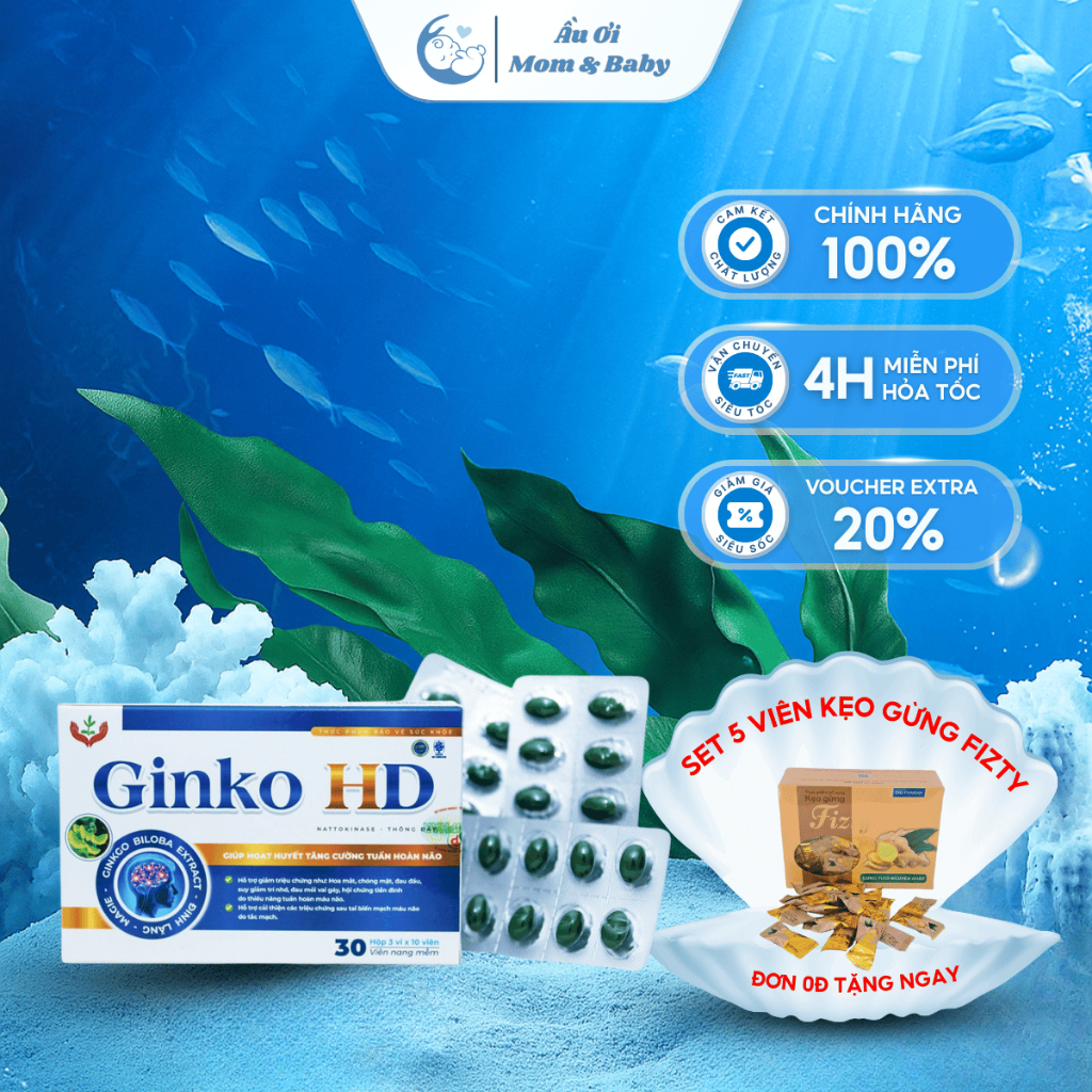 Ginko HD - Tuần hoàn não, bổ trợ chức năng não - 30 Viên