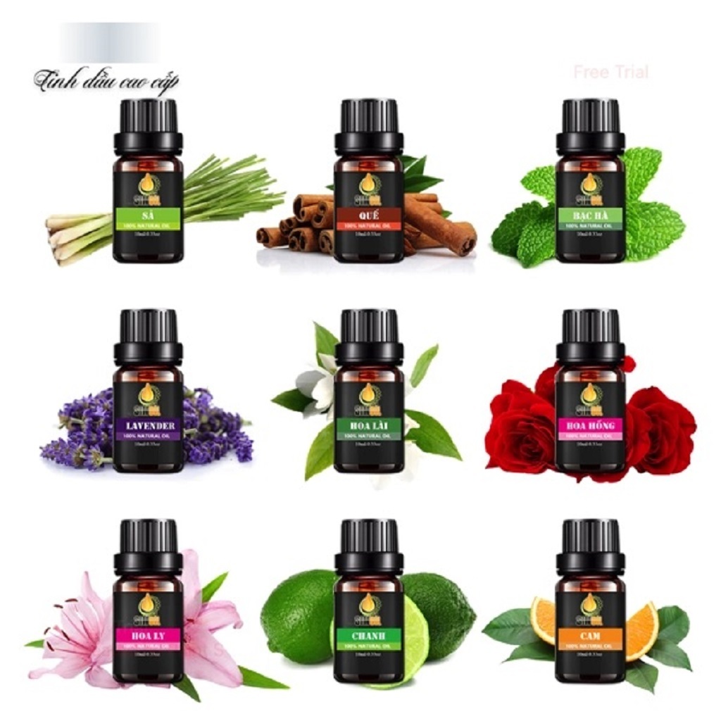 Sử dụng Lọ Tinh Dầu trong đời sống