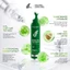 DAILY EFFECT Green Tea Eye Serum (15g)