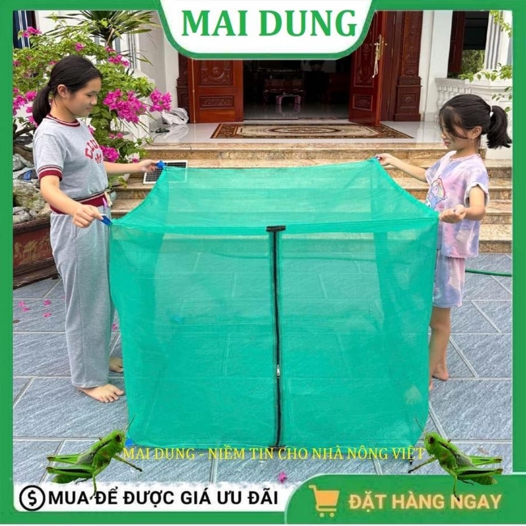 Mùng nuôi ruồi lính đen, lồng nuôi cào cào, châu chấu