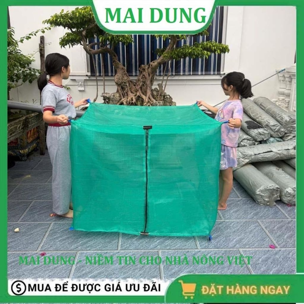 Mùng nuôi ruồi lính đen, lồng nuôi cào cào, châu chấu