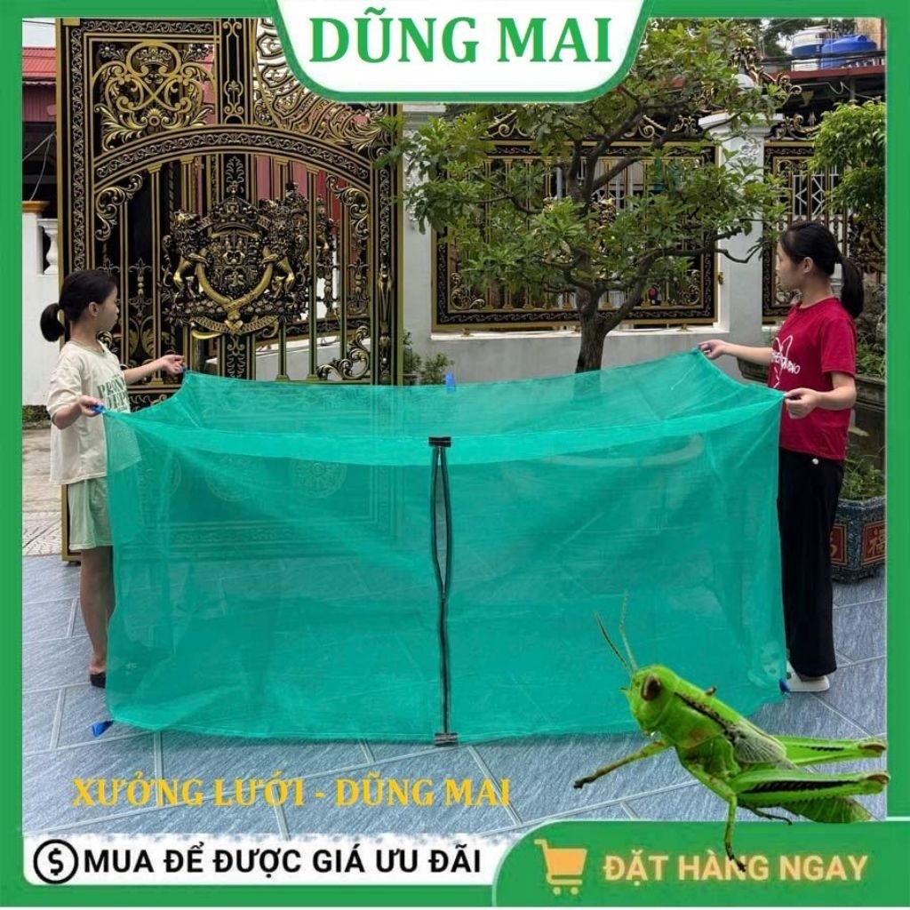 Lồng nuôi cào cào, châu chấu, mùng nuôi ruồi lính đen