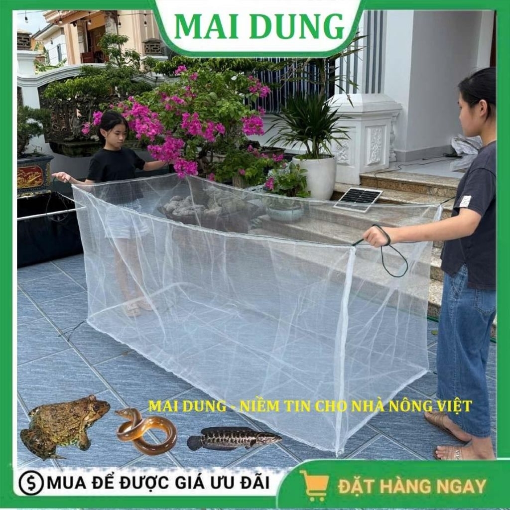 Tráng lưới nuôi ốc ếch cá lươn, vèo lưới nuôi thủy sản
