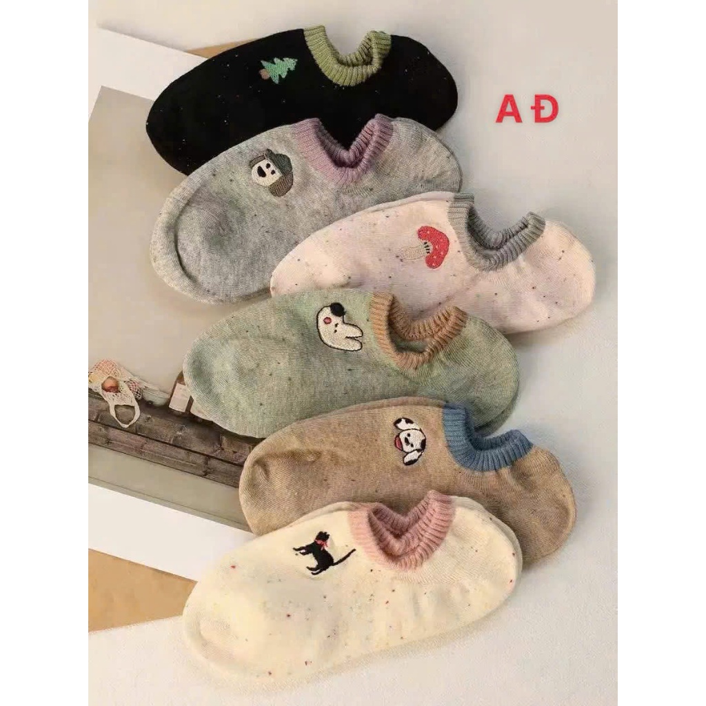 SET 10 ĐÔI TẤT LƯỜI CỔ NGẮN PHỐI MÀU ĐẸP CHO NỮ