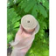 1 Cuộn Ruy Băng Voan Đuôi Cá bản 4cm dài 10Y~9m nhiều màu sắc đẹp lựa chọn