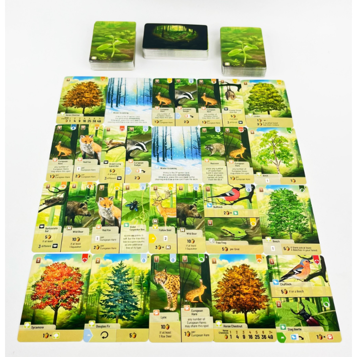 [Luật Việt] Boardgame Forest Shuffle Quản Lý Rừng Cây 3-5889
