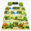 Boardgame Forest Shuffle Quản Lý Rừng Cây 3-5889