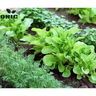 Phân trùn quế nguyên chất ONIC 5kg (Phân bón hữu cơ giàu dinh dưỡng cho rau sạch, hoa kiểng...)