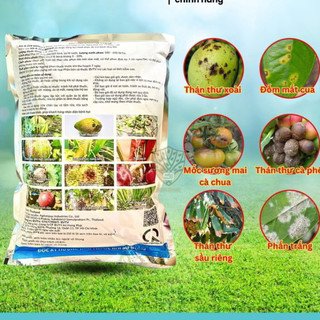 Trừ nấm Mancozeb Xanh Ấn Độ Vua nấm bệnh, trừ thối trái, thán thư, rỉ sắt, nấm hồng gói 1 kg