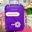 Két Sắt Mini Bỏ Ống Heo Tiết Kiệm Cho Bé Hình Kuromi, Labubu, Capypara, Baby Three Dùng Chìa Khóa HaDa Kids