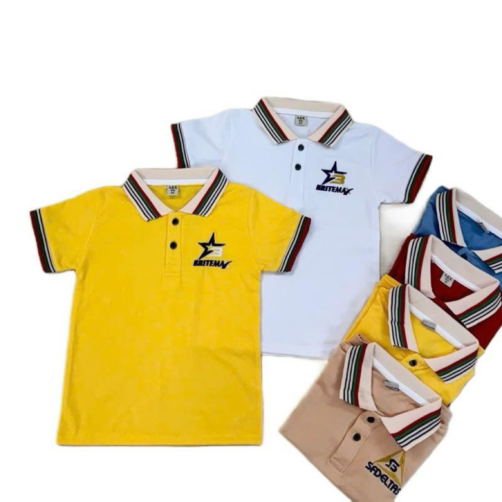 Combo 2 Áo thun cotton có cổ cho bé trai (mẫu mới )