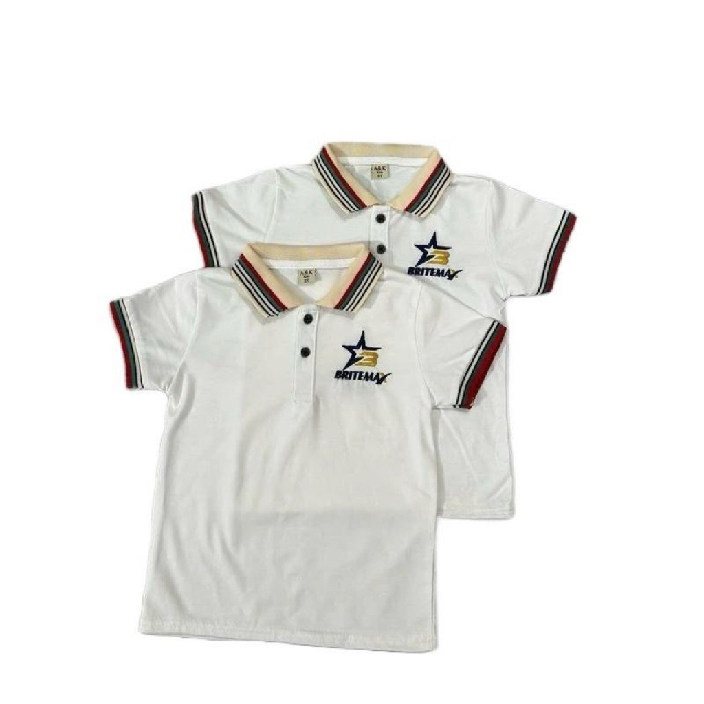 Combo 2 Áo thun cotton có cổ cho bé trai (mẫu mới )