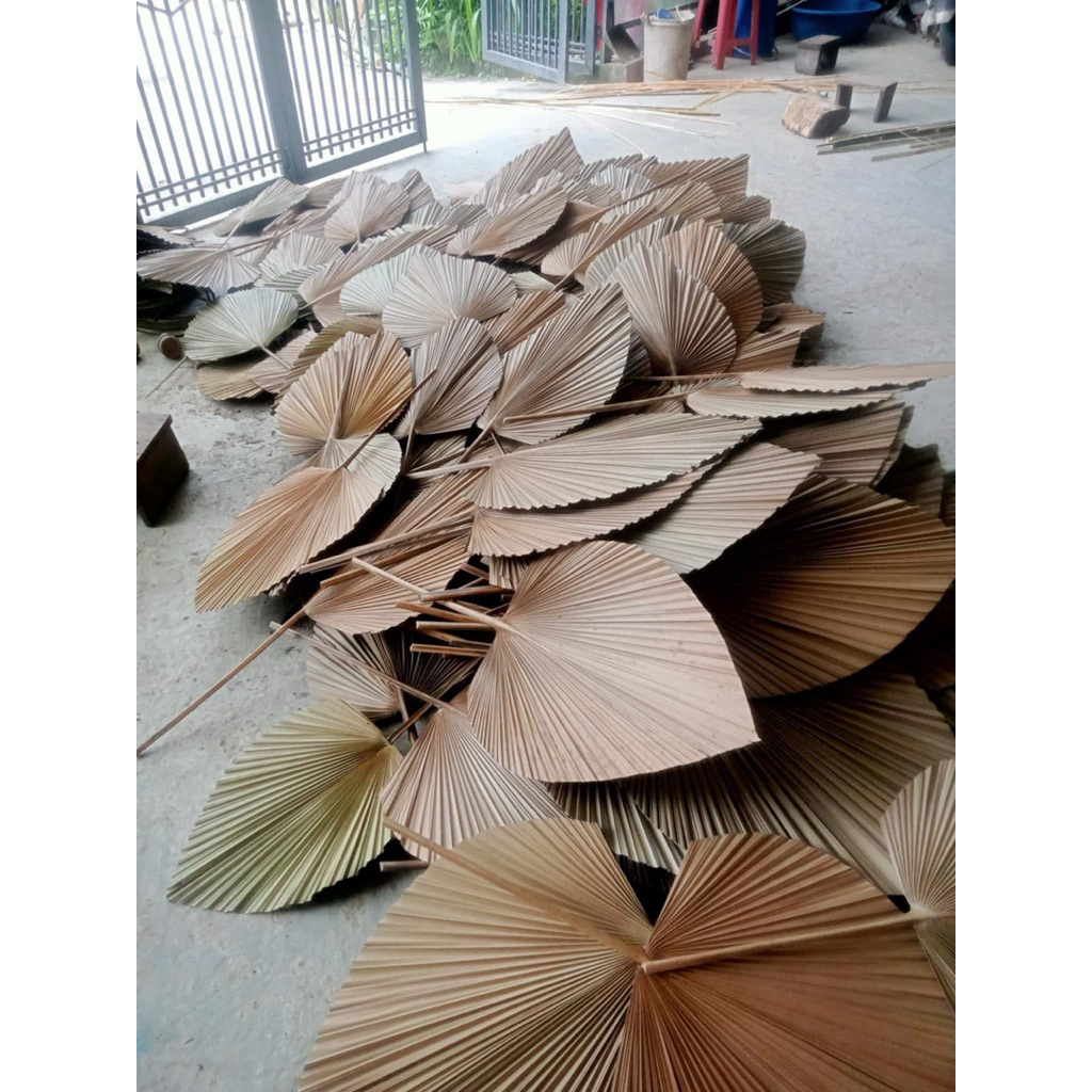 Combo 20 lá cọ khô màu tự nhiên decor trang trí chụp ảnh – handmade