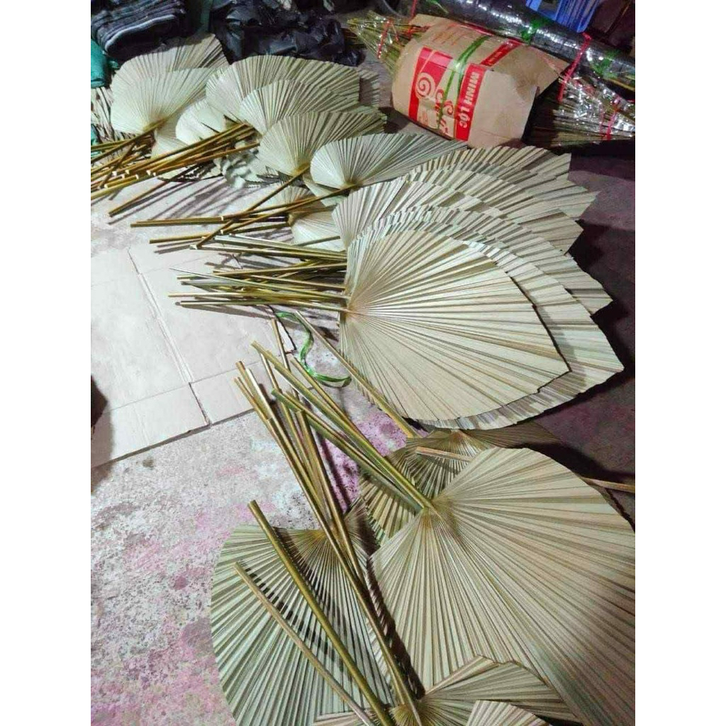 Combo 20 lá cọ khô màu tự nhiên decor trang trí chụp ảnh – handmade