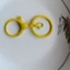 100 Móc khóa càng cua