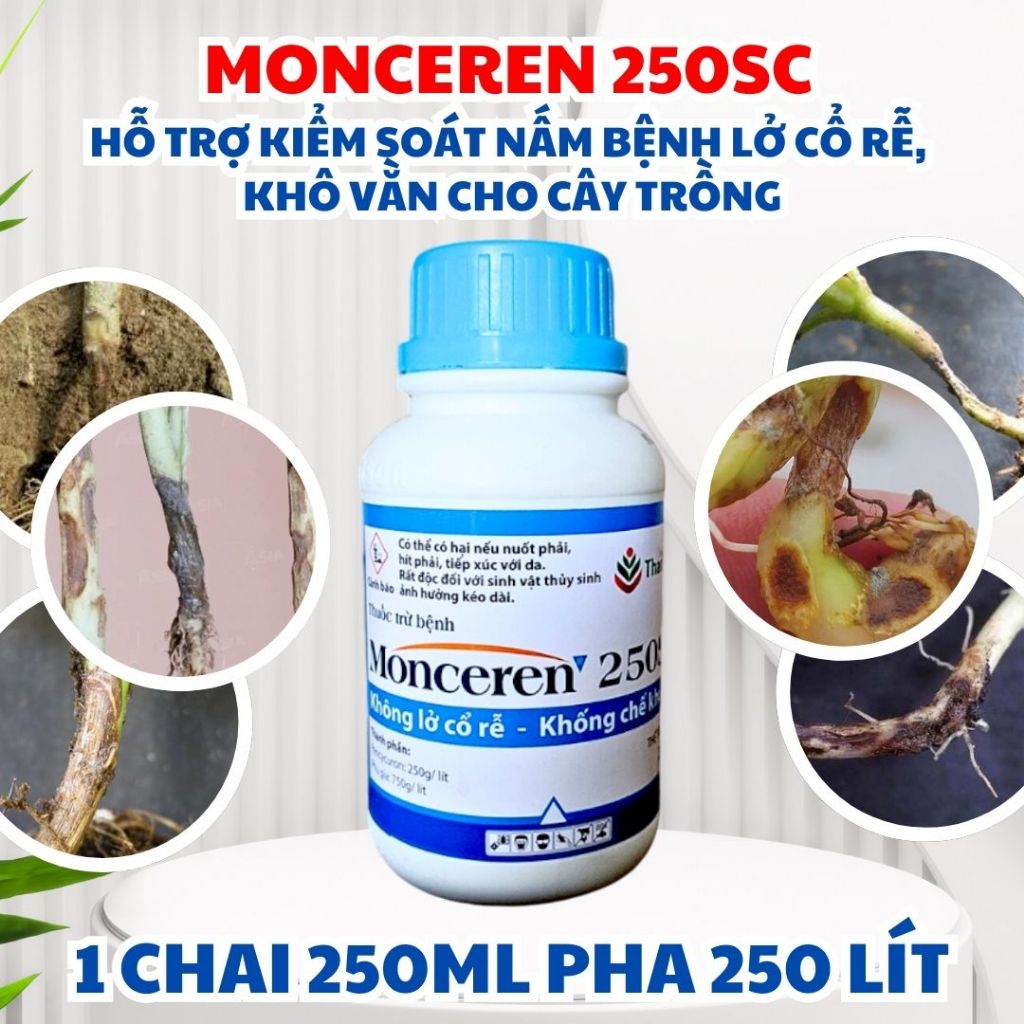 Monceren 250SC 50ml/250ml – Hỗ trợ kiểm soát nấm bệnh lở cổ rễ, tóp cổ ...