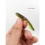 Mồi mềm nòng nọc ếch mùi tanh chuyên câu lure dài 8cm nặng 3.8g Thích hợp lưỡi size 4cm