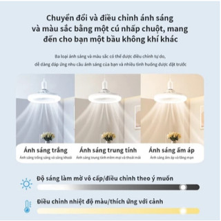 Quạt Trần Đèn, LED quạt đèn, quạt gió đèn,Đèn 3 Màu Điề，Chức năng tiếng ồn thấp