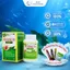 Viên Xoang Tán Roxtech - Hỗ Trợ Giảm Viêm Xoang, Viêm Mũi, Đau Đầu, Nghẹt Mũi (Hộp viên nang)