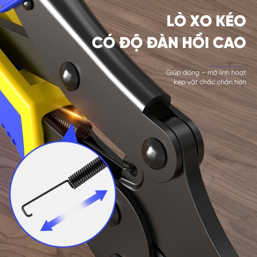 Kìm Lực Đa Năng RAYENR, Kìm Khóa Chuyên Dụng, Kìm Bấm Chết Miệng Tròn Kẹp Cực Chắc KLUC001
