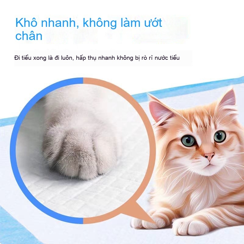 Miếng lót tiểu cho chó mèo dùng trong nhà khả năng hút nước cao chống rò rỉ dễ thay thế