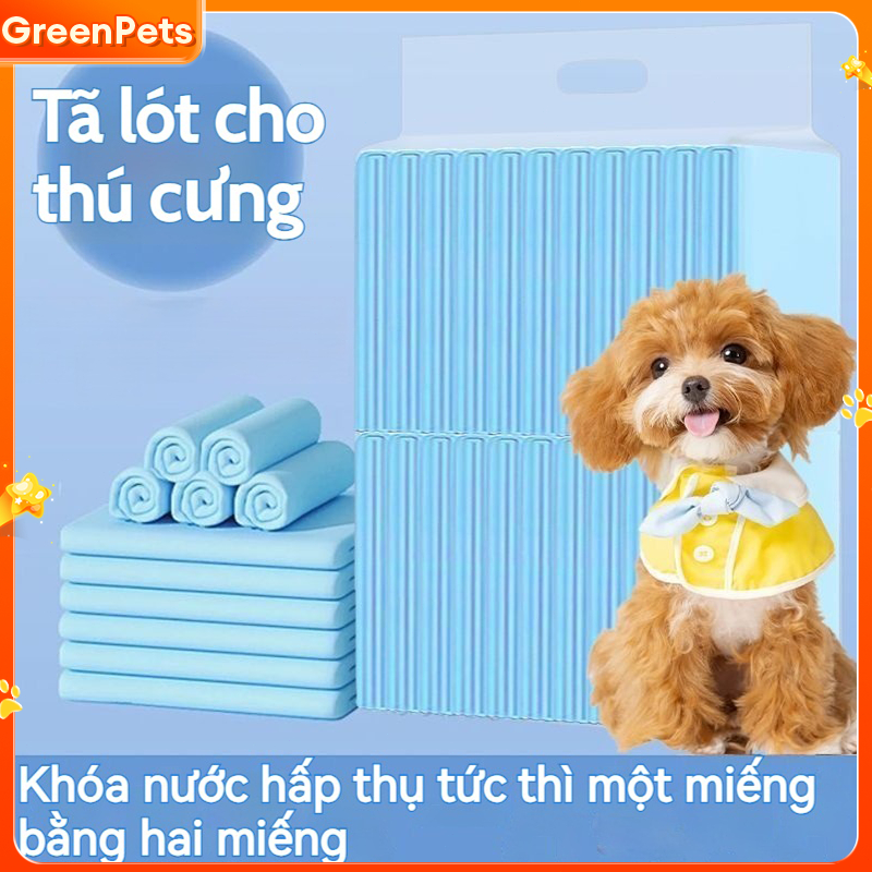 Miếng lót tiểu cho chó mèo dùng trong nhà khả năng hút nước cao chống rò rỉ dễ thay thế