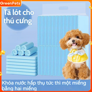 Miếng lót tiểu cho chó mèo dùng trong nhà khả năng hút nước cao chống rò rỉ dễ thay thế