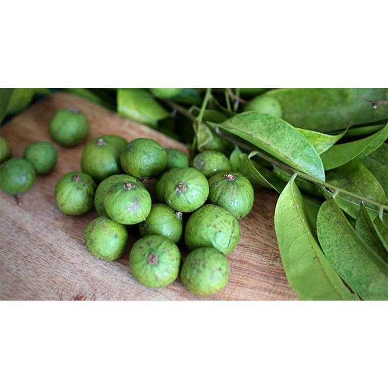 Sấu ngâm đường phèn hủ 5 kg, Sâu ngâm vị chua ngọt, quả giòn.