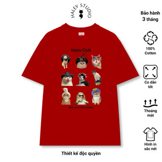 Áo thun Halev Unisex form Oversize nam nữ in hình Mèo vui nhộn Fancy chất Cotton 100% sợi đôi 250gsm cao cấp