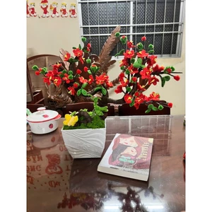 Chậu hoa đào bonsai kẽm nhung