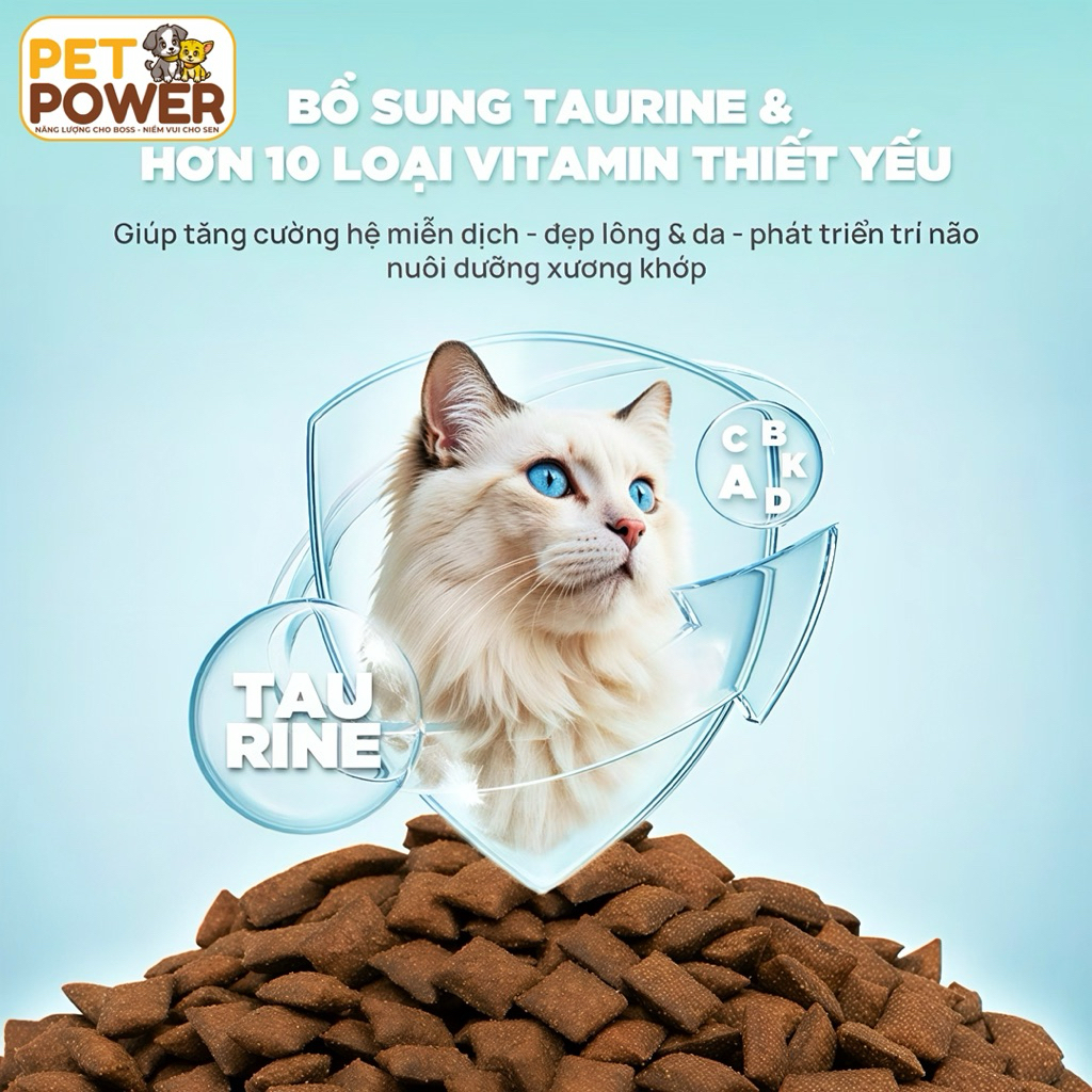 Hạt Cho Mèo PetQ Churro C90 / C90K / C90U – 90% Thịt, 40% Protein, Vỏ Giòn Nhân Mềm, Mọi Độ Tuổi