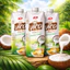 Nước Cốt Dừa Nguyên Chất Vico Rich 330Ml Hương Vị Đậm Đà