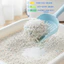 Cát Vệ Sinh Cho Mèo MiaoMi Hương Biển Xanh - Cát Mèo Khử Mùi Hiệu Quả, Không Bết Đáy
