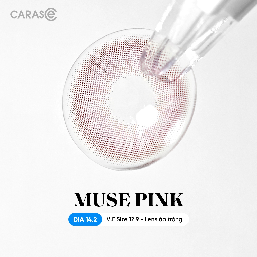 [1 chiếc] Kính áp tròng khoá ẩm 8H 3 Tháng CARASE, Lens cận màu hồng lạnh MUSE PINK (1 chiếc)