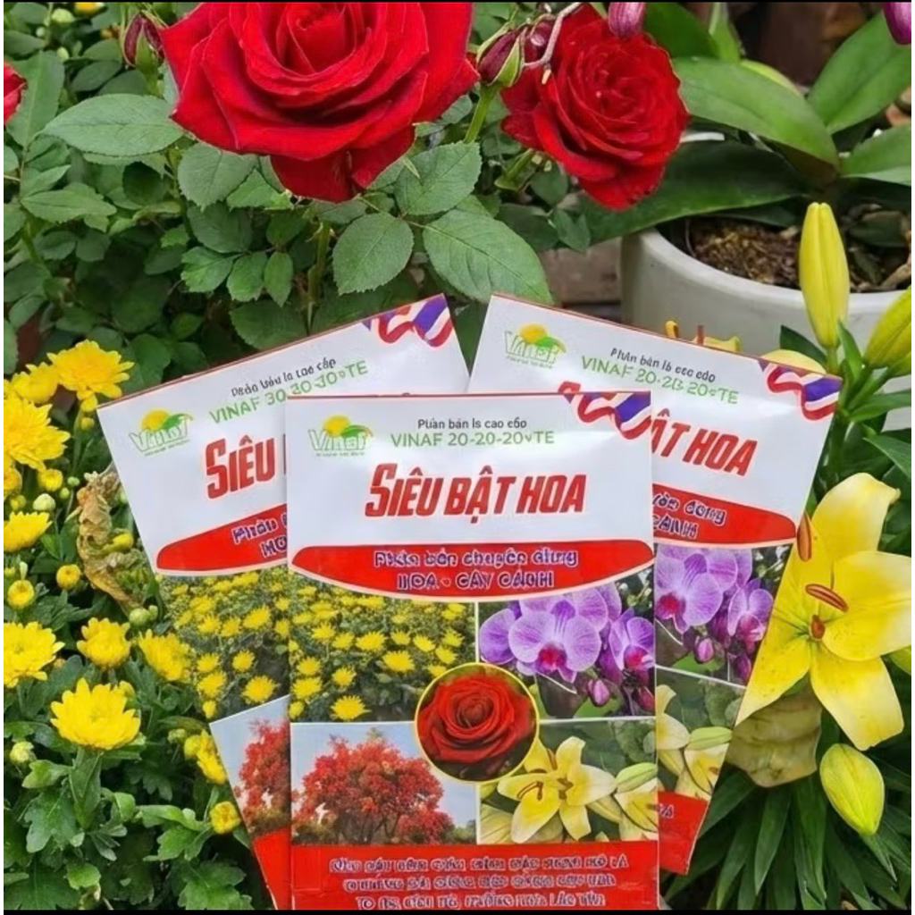 Siêu Bật Hoa- kích thích ra hoa nhanh mạnh cho cây ăn quả, hoa màu, rau củ
