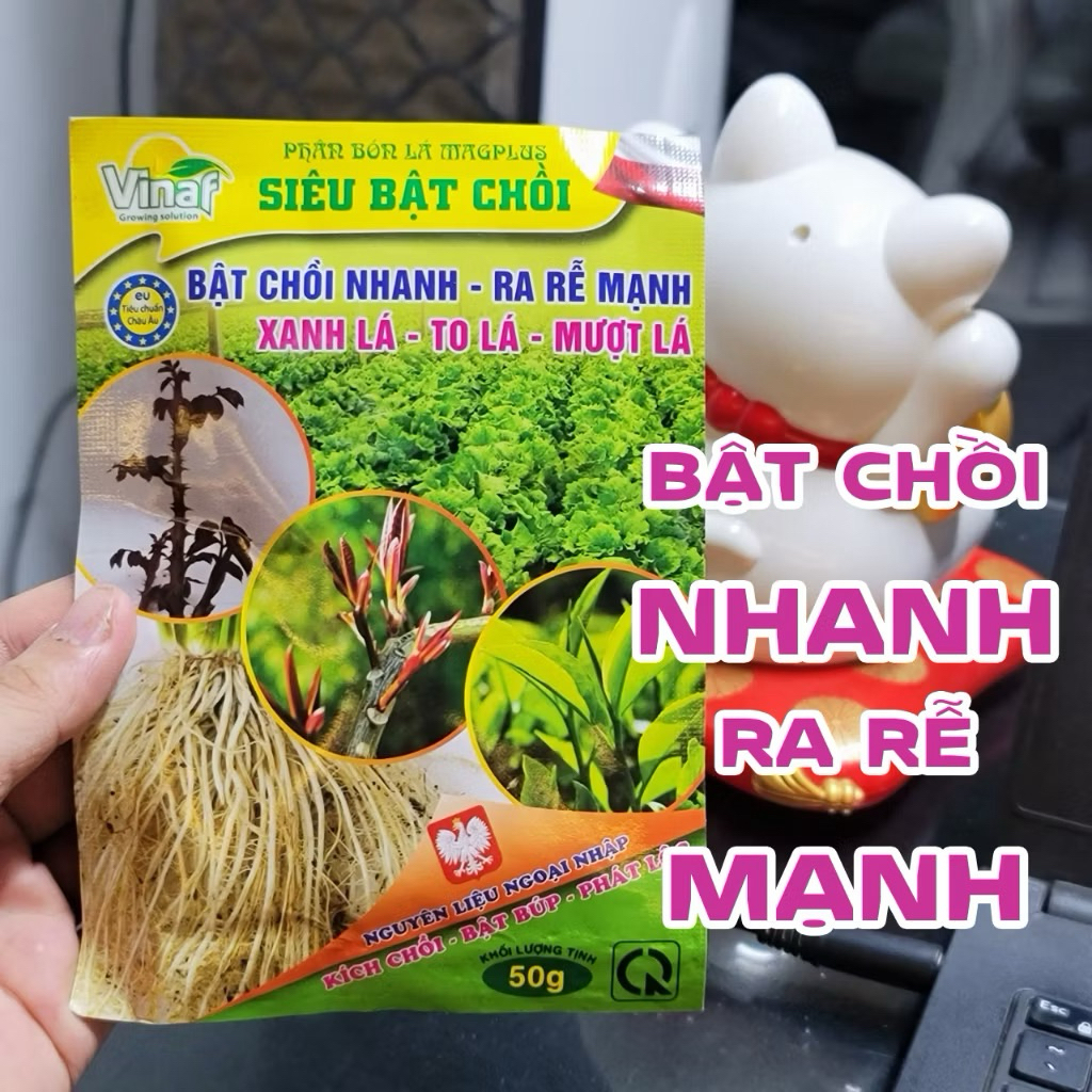 Siêu Bật Chồi- bật chồi nhanh ra rễ mạnh phù hợp cho cây cảnh hoa lan và các loại cây ăn quả hoa màu