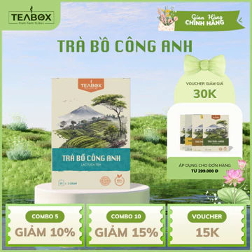 Trà Bồ Công Anh Tiêu Chuẩn ISO 22000 Teabox Viet Nam Hộp 30 Túi Lọc x 3 Gram Nguyên Liệu Sạch 100%