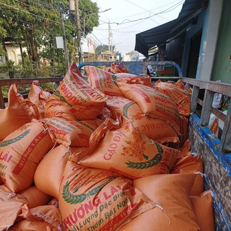 10kg Gạo Hương Lài mới dẻo mềm cơm thơm tự nhiên. Cơm thơm nhẹ tự nhiên(hạt gạo trong bóng hàng loại 1)