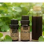 MULBERRY EXTRACT (CHIẾT XUẤT DÂU TẰM - PHÁP)