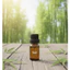 BAMBOO EXTRACT (CHIẾT XUẤT TRE - PHÁP)