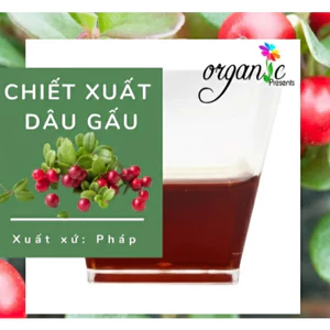 BEARBERRY EXTRACT (CHIẾT XUẤT DÂU GẤU - PHÁP)