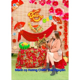 [Rẻ vô địch] Mành che nắng, Mành tăm trúc trang trí tết 2026, mành cọ giá rẻ. mành trúc trang trí tết 2026