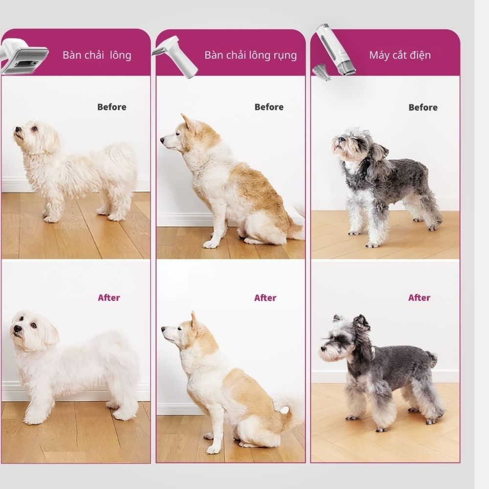Máy Cắt, Tỉa, Cạo, Chải, Hút Lông Chó Mèo Petkit AirClipper 5 in 1 Pet Grooming Kit - HeLiCorp