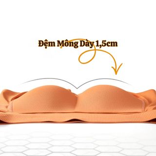 Combo 2 Quần Độn Mông Nữ Su Đệm Mỏng Nhẹ 1,5cm, Quần Định Hình V3 Quyến Rũ Thoáng King Shop N-2323
