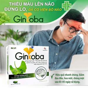 Viên uống hoạt huyết dưỡng não, giúp giảm tê bì tay chân, cải thiện đau đầu mất ngủ Ginkoba (Hộp 100 viên)